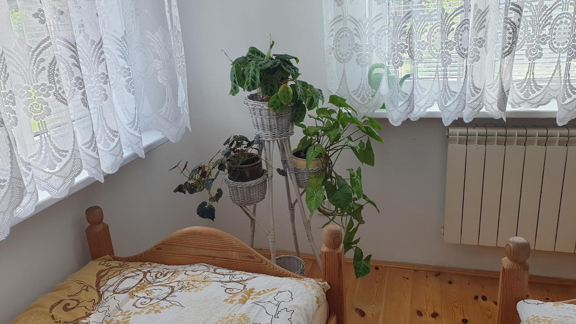 "Jutrzenka" Appartement Białowieża Buitenkant foto